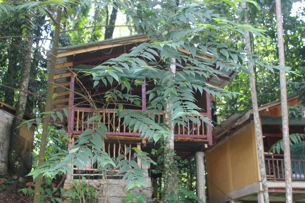 Hotel Rafters Retreat Kitulgala Esterno foto